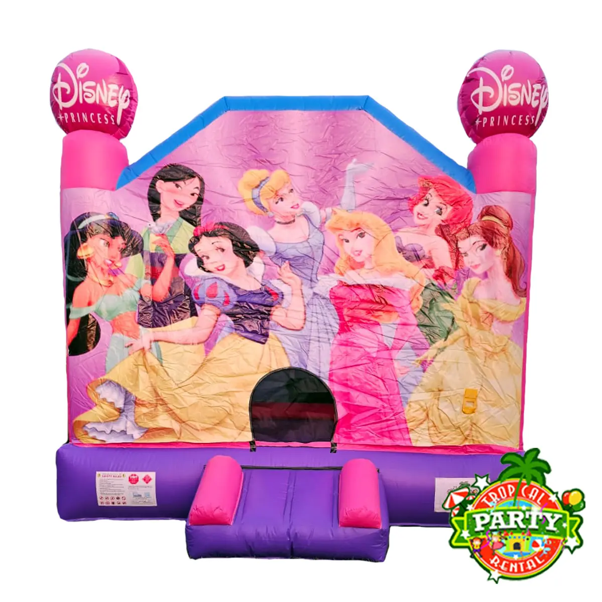 Bounce House Disney Princess